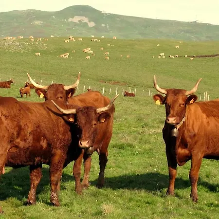 L'oustal De Nyaraló Salers